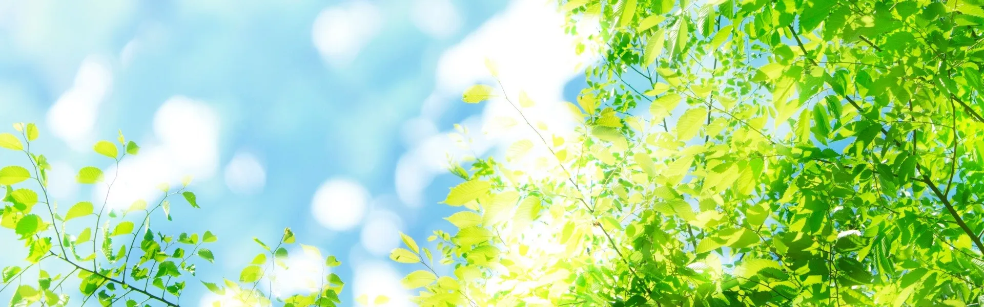 悩みが長引いている人へ🍃